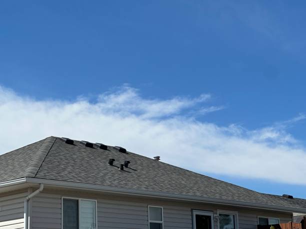 Fast & Reliable Emergency Roof Repairs in Platteville, CO